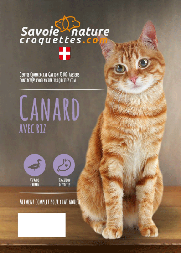 croquettes au canard avec riz 