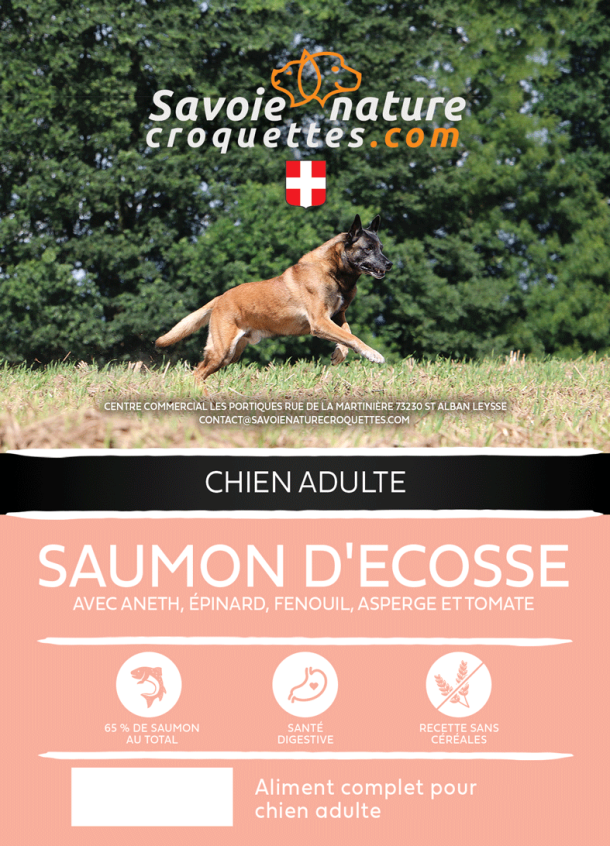 croquettes au saumon d'ecosse grande race