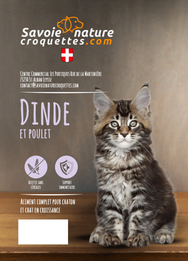 Dinde et poulet pour chaton